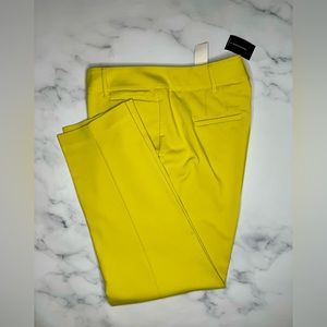 Ashley Stewart Women's Ankle Pants